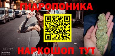 jwh Мирный