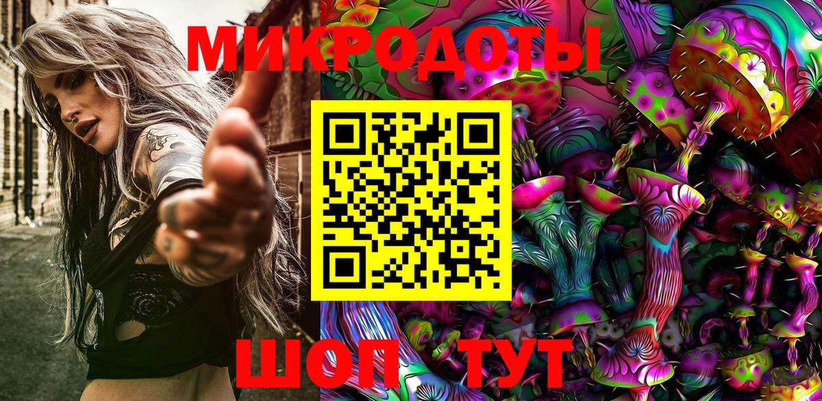Галлюциногенные грибы Psilocybe Апшеронск