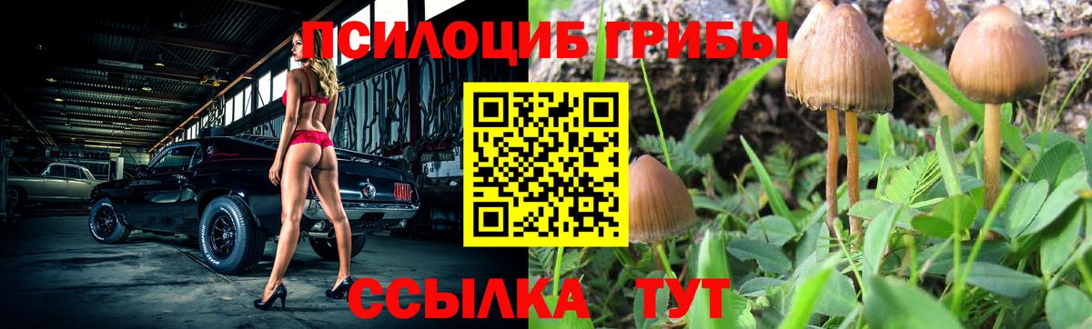 Апшеронск  Галлюциногенные грибы ЛСД  Вход с VPN 